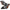 SPYDER Xtune Nissan Murano 03-07 (Not Hid Model) Crystal Headlights Black HD-JH-NMU03-AM-BK 9023590