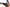 Exo-At950 Peak Visor Neocon Orange