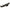 BD Diesel Manifold Exhaust Pulse - 1994-1998 Dodge Ram 5.9L