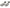 Comp Cams Lifter, Sportsman CS, Center
