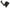 Corsa Performance 12-13 Ford Mustang Boss 302 5.0L V8 Air Intake