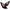Spyder Nissan 350Z 03-05 Euro Style Tail Lights Black ALT-YD-N350Z02-BK 5006684