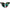 ICON Airflite™ Side Plates - Blegh - Red 0133-1498