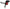 AEM Induction AEM 2015 Ford Mustang EcoBoost 2.3L L4 HCA Air Intake System 21-740C