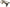 ATS Diesel 68RFE Case Brace Support Bracket