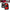 ANZO 09-18 Dodge Ram 1500 Sequential LED Taillights Black 311469