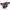 AlphaRex 11-15 Ford Explorer PRO-Series LED Tail Lights Red Smoke 660020