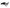 Comp Cams EZ VALVE LASH WRENCH 9/16