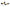 Whiteline Sway Bar Link Kit Heavy Duty Adj Steel Ball Audi A3 2006-2012