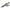 BD Diesel Stock Replacement Injector 2001-2004 LB7 Duramax