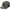 IN STOCK ALPINESTARS Flag Flat Trucker Hat - Camo Green/Black 1235-81960-6173-OS