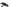 Arrowhead Honda Ign Switch 240-58034