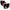 Spyder Toyota Celica 00-05 Euro Style Tail Lights Black ALT-YD-TCEL00-BK 5007506