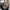 Covercraft 24-25 Ford F250-F550 Endura PrecisionFit Custom Front Row Seat Covers- Tan/Tan GTF4423ABENTT
