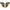 ICON Airflite™ Side Plates - Flyboy - Blue 0130-1109