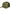 IN STOCK ALPINESTARS Recon Trucker Hat - Camo Green 1235-81470-6061-OS