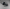 3 Pin Surron Throttle