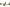 Whiteline Sway Bar - Link