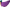 ICON Domain™ Shield - 22.06 - RST Purple 0130-1050