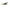 Bosch Fuel Injector 62847