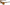 100% Centric Sunglasses - Havana - Bronze 61027-089-49