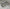 CCdesign **MK7.5** VW Golf GTI 3.5