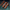 GDP Commander (Autoflasher) Credits