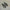 PRE-ORDER Titanium Foot Pegs