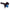 Airaid 08-11 Cadillac CTS 3.0L CAD Intake System w/Carbon Look (Dry / Blue Media) 253-255C