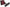 Airaid 11-14 Ford Mustang 3.7L V6 Jr Intake Kit 451-745