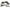 Tomei Oversized Oil Pan SR20DET Ps13/s14/s15