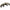 VW Golf / Passat ABA 8v / 1.9L TDI turbo manifold - T25 flange - PRE SALE