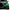 Toyota Tacoma RGBW DRL Boards (2016-2023)