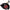 AEM Induction 2019 Volkswagen Jetta 1.4L Cold Air Intake 21-862C