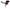 AEM Induction AEM 2015 Ford Mustang GT 5.0L V8 - Cold Air Intake System - Gunmetal Gray 21-745C