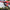 Big Gun 21-23 Honda CRF 450R EVO R MX Full Exhaust 19-14573