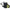 XDP Wrinkle Black HD Gear Reduction Starter XD257