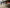 1999-2010 Ford Super Duty F250/F350 Traction Bars