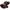 Spyder Hyundai Tiburon 03-05 Euro Style Tail Lights Black ALT-YD-HYT03-BK 5005434