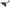 AEM Induction AEM 15-18 Lexus RC F V8 5.0L F/I Cold Air Intake 21-780C