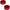 Camburg 2024+ Ford Ranger Raptor 2.5in Front Spring Preload Spacer Kit (Red) CAM-110306-RED