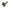 Stub Axle (930 CV)