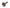 Stub Axle (930 Axles) [Vanagon]