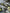 Maverick R Steering Dampener Assembly