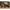 SuperATV 2016+ Honda Pioneer 1000 Maxdrive Power Flip Windshield