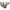 Audi 80 VW B5 1.9 TDI ADP 1.6L 8V T3 top mount twin scroll street turbo manifold - PRE SALE